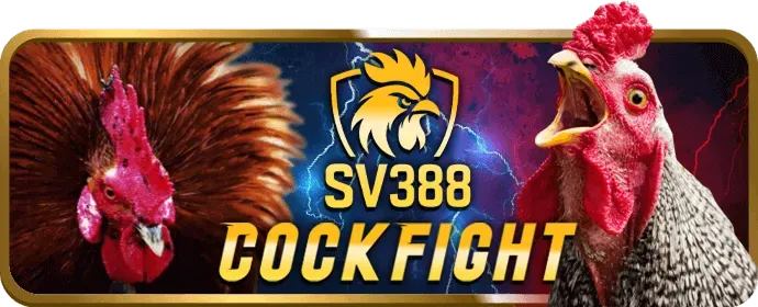Người chơi eSports đang thi đấu trên máy tính, biểu tượng cá cược eSports